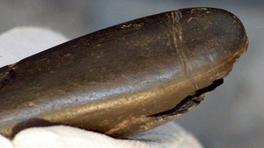 Close-up of a natural-looking sex toy.