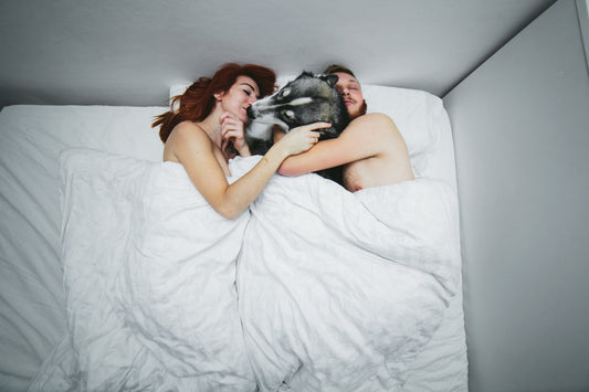 Couple cuddling with a dog under white bedding.