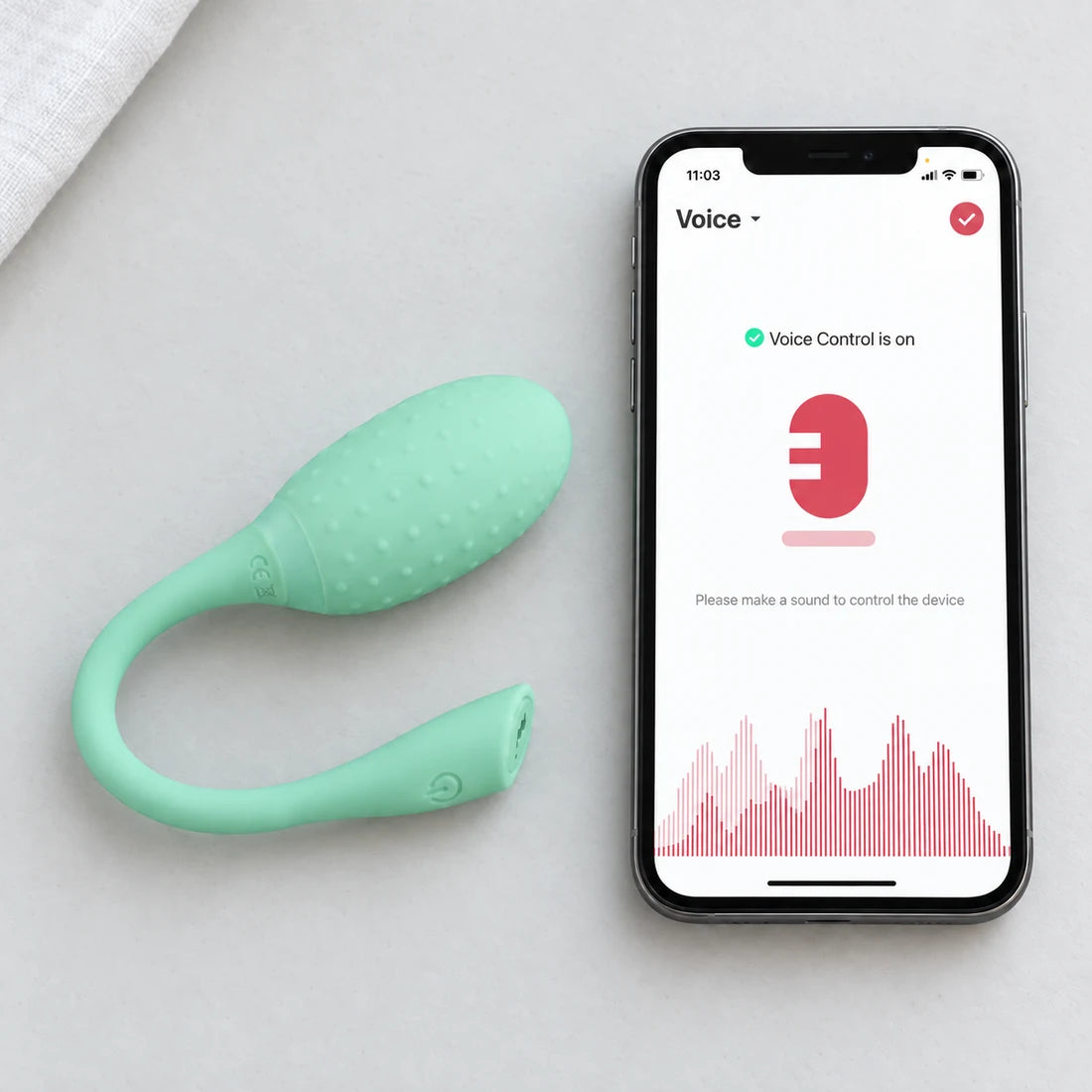 Mint green Magic Fugu beside an English Magic Motion Voice interface illustration